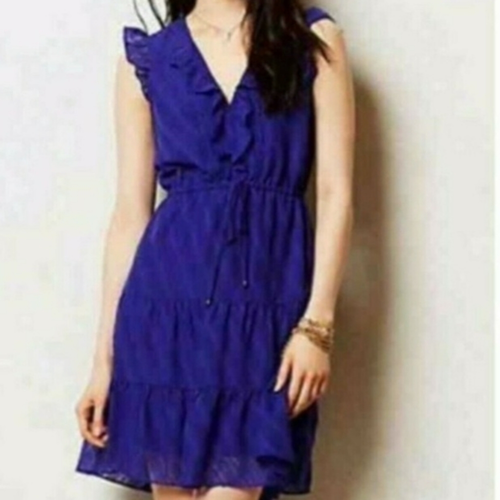 Anthropologie HD in Paris Blue/Purple Dress Size 4P